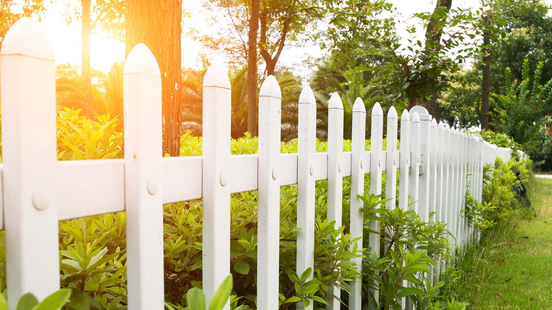 Strathmore Park HOA (Katy) cover